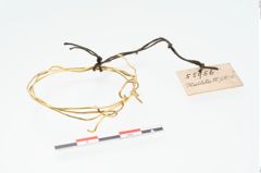 Foto von Goldspiraldrahtarmring (NHMW-PRAE-055956)